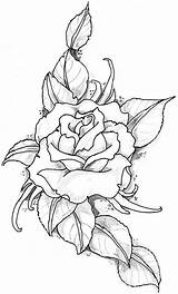 Flores Tattoo Rose Wefollowpics Artículo Google Dibujos Tela sketch template
