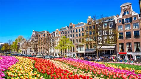 Best Places To Visit In Amsterdam Netherlands Zen Tripstar