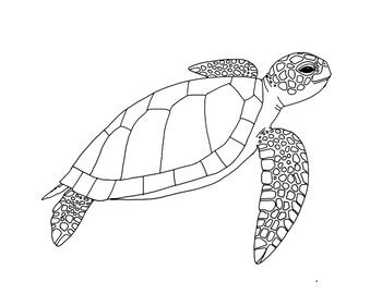 green sea turtle coloring page  mama draw  tpt