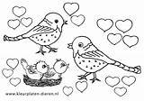 Vogels Hartjes Dieren Vogel Bloemen Vliegende Peuters Lieve Patronen Nestje sketch template