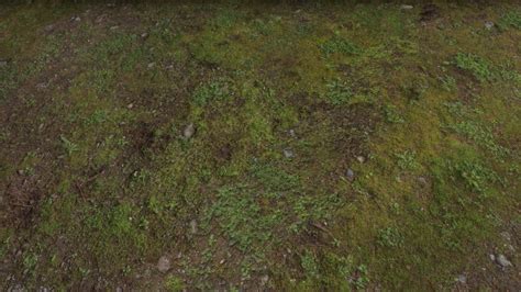 highly detailed  realistic terrainlandscape textures released  skyrim