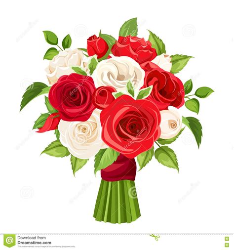 ramo de rosas rojas  blancas ilustraci   vector red  white