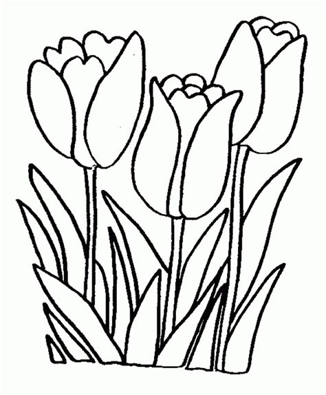 single flower  printable coloring pages    flower