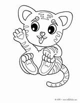 Tiger Coloring Pages Baby Animals Tigers Cub Animal Kawaii Cute Color Chibi Leopard Detroit Jungle Wild Panda Tigre Online Hellokids sketch template