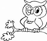 Owl Cartoon Coloring Pages Clipart Colouring Library Clip sketch template