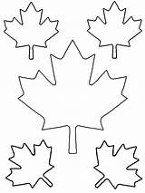 Printable Leaf Template Coloring Maple Popular sketch template
