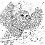 Coloring Owl Lovely Stock Illustration Vector Depositphotos Kchungtw sketch template