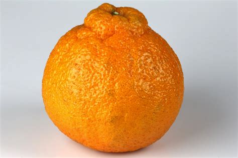sumo oranges   season        popsugar food