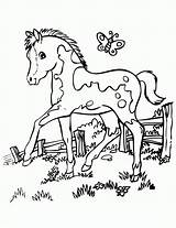 Coloring Pages Horses Children Print sketch template