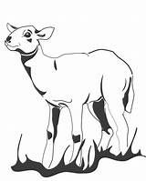 Lamb Ccg Copyright  sketch template