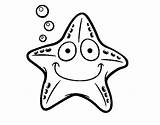 Estrella Marina Colorare Pintar Estrellas Nautica Starfish Disegno Dibuix Dibuixos Acolore sketch template