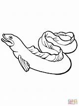 Eel Coloring Pages Drawing Eels Moray Fish Printable Color Kids Supercoloring Life Drawings sketch template