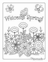 Spring Coloring Pages Flowers Printable Color Detailed Adults Butterflies Doodle Easy sketch template