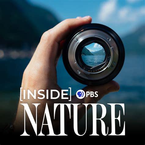 nature podcast nature pbs