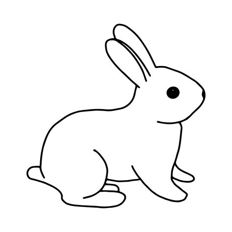 rabbit hand drawn contour  drawing black  white imageeaster