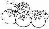 Coloring Pages Tomato Vegetables Part Para Preschool sketch template