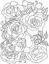 Coloring Pages Rose Roses Flower Flowers Adult Drawing Printable Adults Family Outline Colouring Color Happy Floral Mandala Line Books Fun sketch template