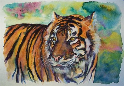 bengal tiger original watercolor painting   watercolor