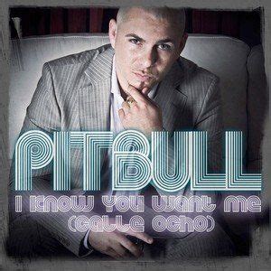 top  pitbull songs   time rap songs pitbull songs songs