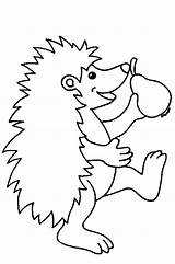 Coloring Pages Hedgehog Pear Draw Holding Happy sketch template