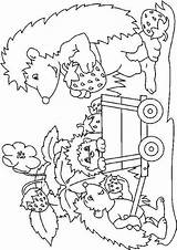 Egels Hedgehogs Egel Colorat Ausmalbilder Herbst Igel Malvorlagen Colorare Ricci Herisson Riccio Disegni Animale Arici Jung Igeln Ausmalen Fraise P01 sketch template