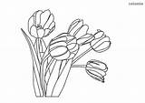 Tulpen Tulpe Tulips Ausmalbild Ausmalen Stiel Malvorlage sketch template