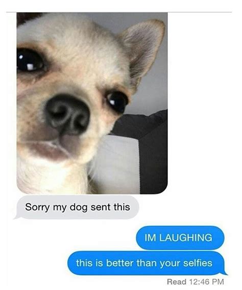 20 Funny Text Messages Funnyfoto