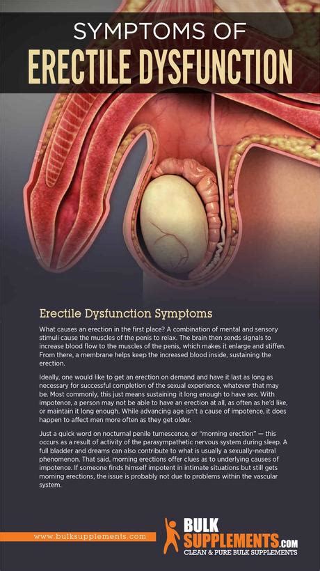 erectile dysfunction ed symptoms  treatment paperblog