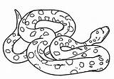Snake Viper Mambas Coloring sketch template