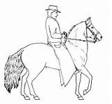 Paso Fino Horse Gait Breed Gif sketch template