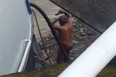 Bizarre Moment Man Strips Naked And Washes Himself On Bank Of River