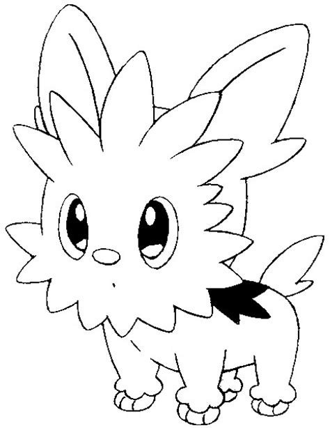 coloring pages pokemon lillipup drawings pokemon