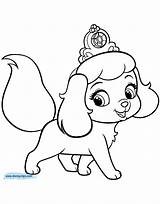 Coloring Pages Puppy Pets Palace Puppies Kitten Pumpkin Print Princess Cute Printables Printable Drawing Dogs A4 Disney Cartoon Pomeranian Size sketch template