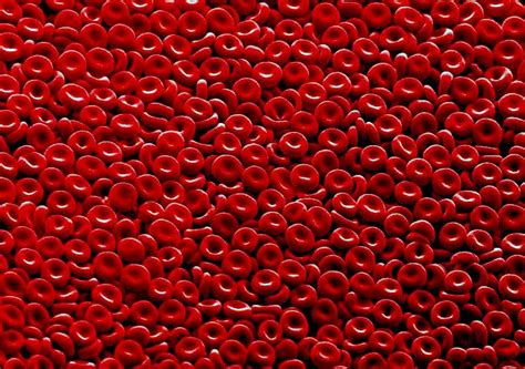 australia red blood screen