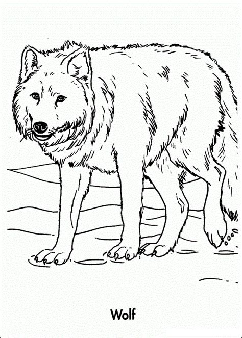 great image adult coloring pages wolfs wolves coloring pages