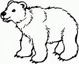 Polar Animals sketch template
