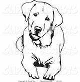 Labrador Dog Retriever Golden Clipart Drawing Coloring Pages Chocolate Down Svg Lab Cute Outline Vector Drawings Puppy Silhouette Tattoo Clip sketch template