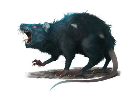giant rat pathfinder  pfrpg pfsrd dnd dd     ed  fantasy dungeons
