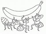 Ant Ants sketch template