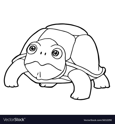 cute turtle coloring pages wallpapers hd references