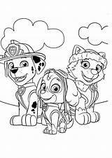Colorir Patrulha Canina Patrol Skye Desenhos Everest Zuma Ausmalbilder Marshall Coloring sketch template