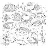 Fishes sketch template