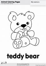 Teddy Flashcards sketch template