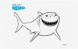 Nemo Tiburon Buscando Dibujo Pngkit sketch template