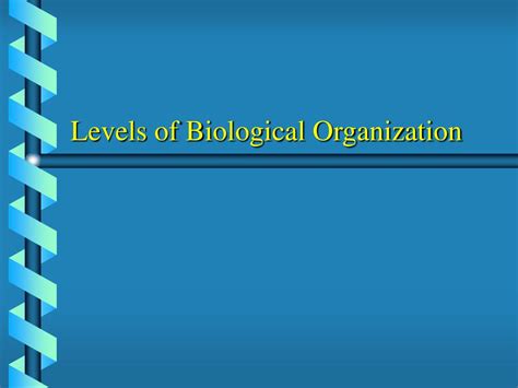 levels  biological organization powerpoint