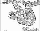 Kleurplaten Zentangle Ape Luiaards Kleurboeken Silhouetten sketch template