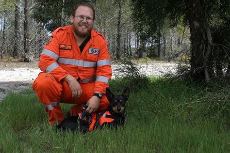 search  rescue dogs western australian ses  wa ses canine unit