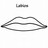 Labios sketch template