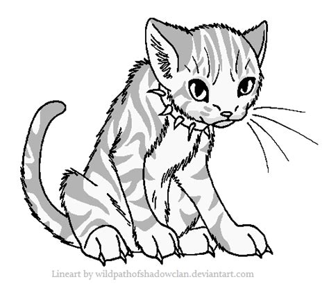 tabby cat coloring   designlooter
