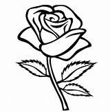 Coloring Rose Simple Pages Getcolorings sketch template